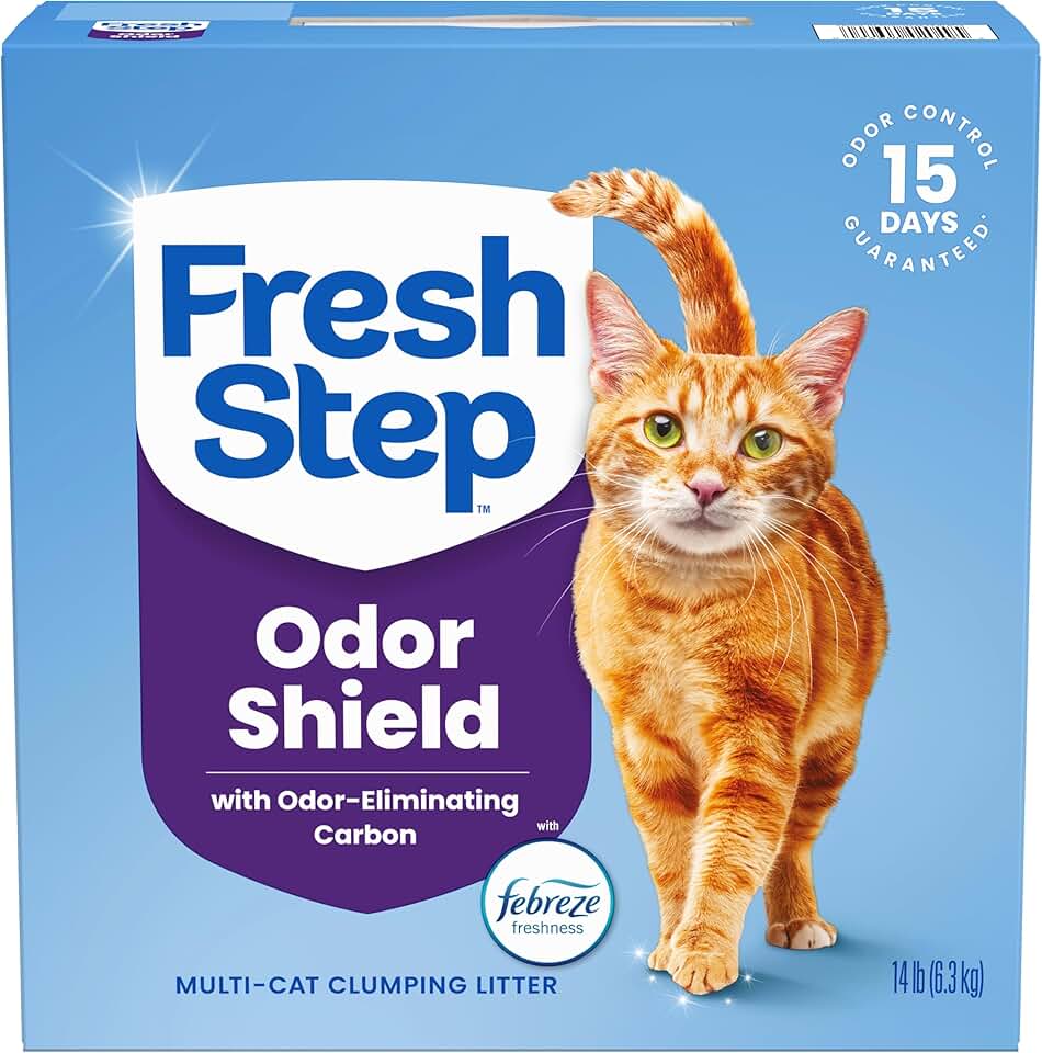 Best Cat Toys: A Comprehensive Guide to Feline Fun