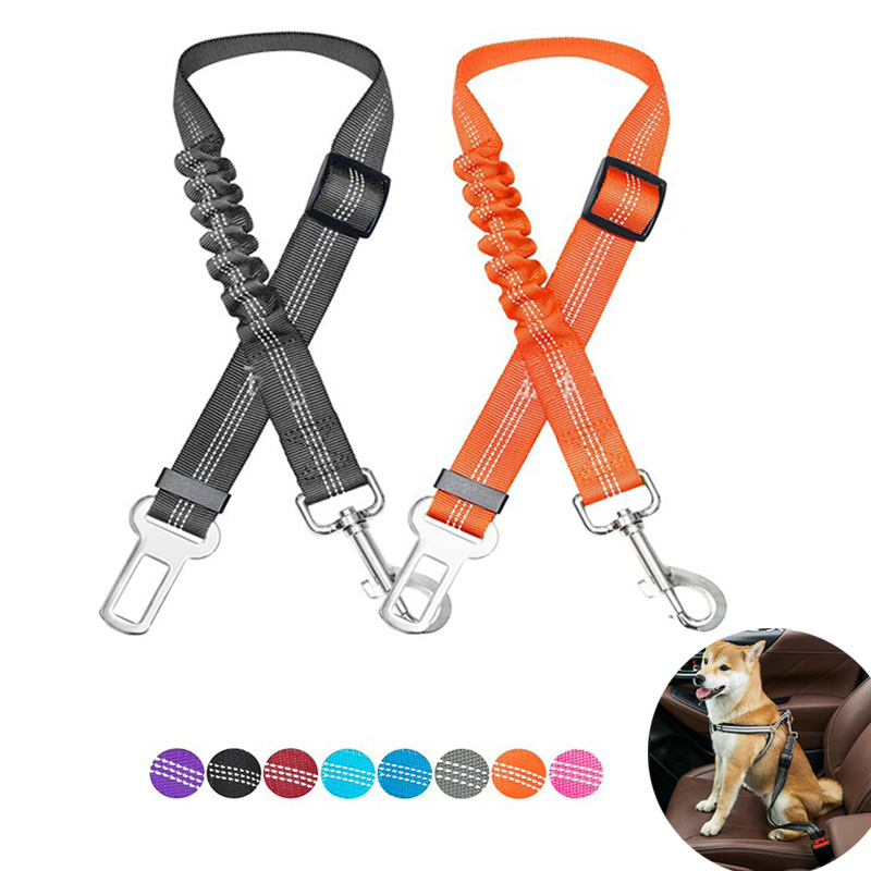 Essential Pet Care Tips and Products