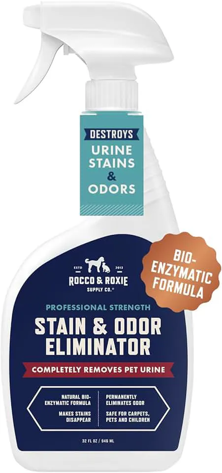 Top Pet Insurance Alternatives: Hands-On Reviews of Essential Pet Products